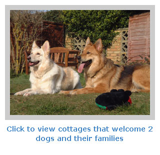 self catering cottages that allow 2 dogs