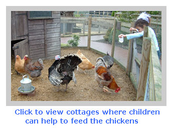 selfcatering holiday cottages on a farm where children can feed the chickens