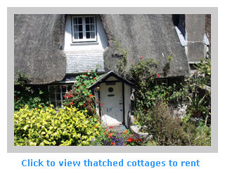 thatched cottages to rent for family groups of 10