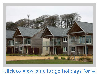 Pine lodge holidays for families