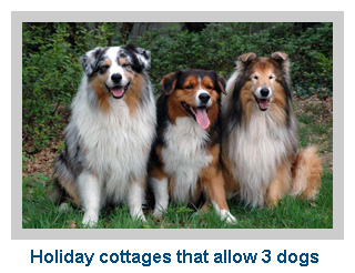 cottages for 3 dogs