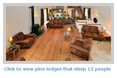 pine lodges to rent for 12