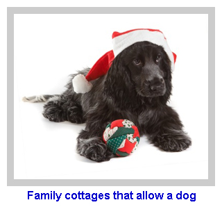 Family cottages that allow a dog